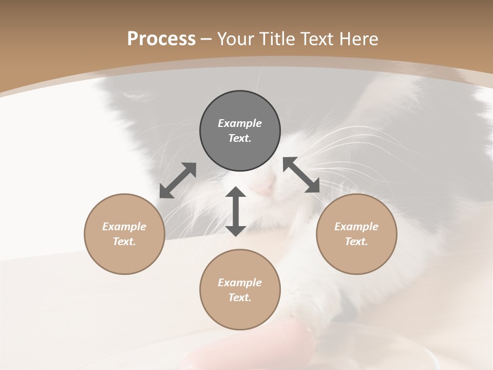 Wool Fur Mammal PowerPoint Template