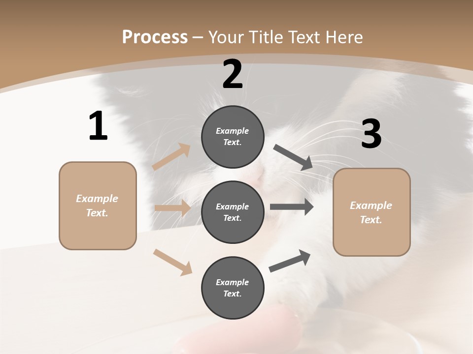 Wool Fur Mammal PowerPoint Template