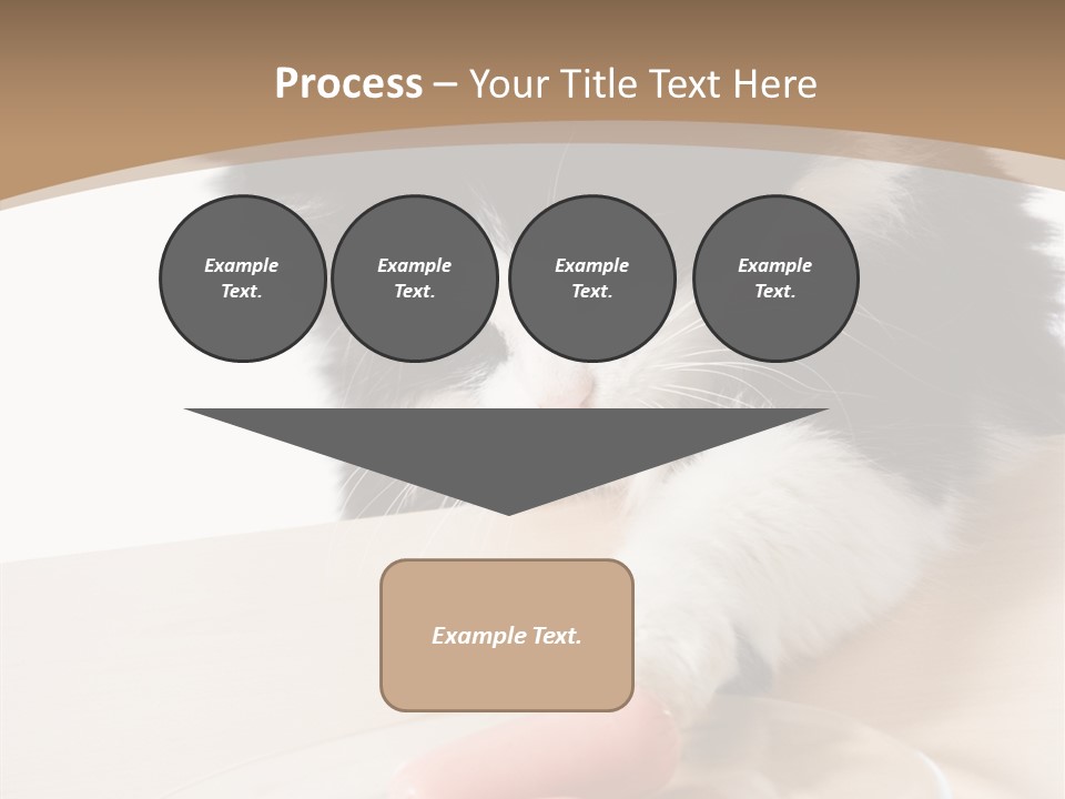 Wool Fur Mammal PowerPoint Template