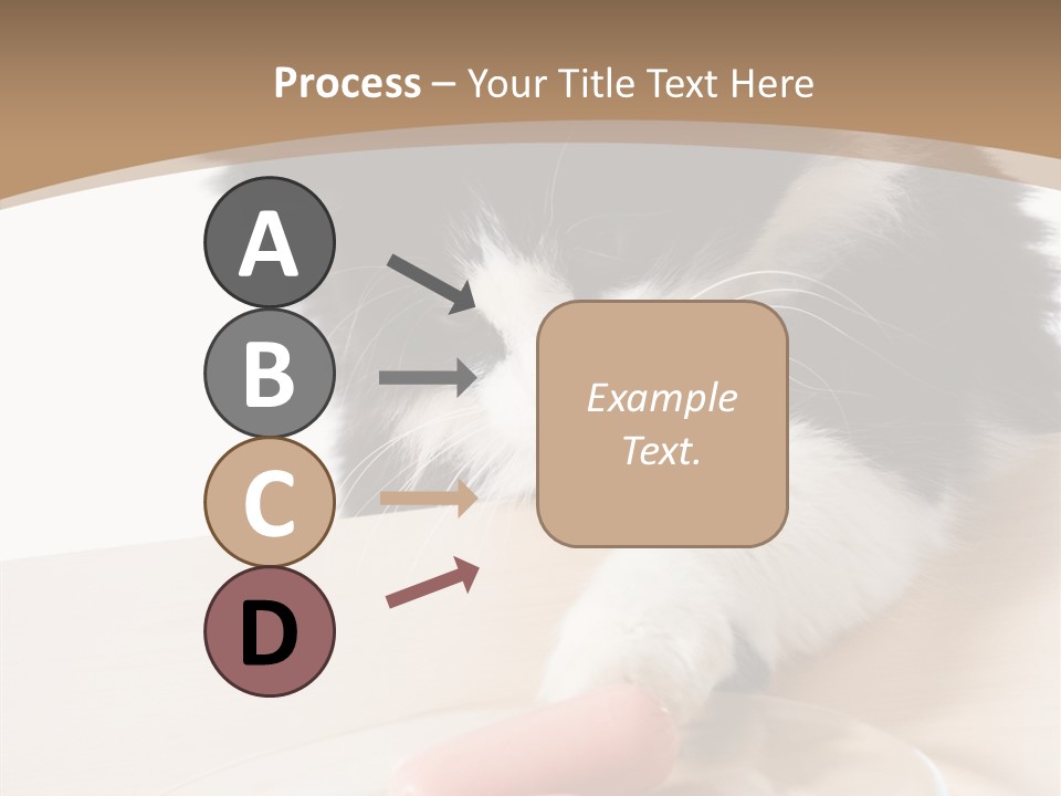 Wool Fur Mammal PowerPoint Template