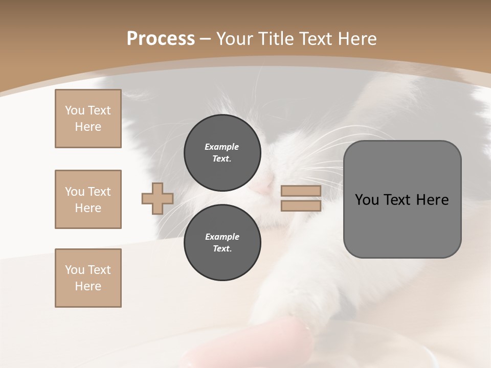 Wool Fur Mammal PowerPoint Template
