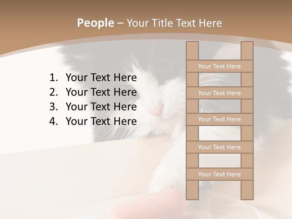 Wool Fur Mammal PowerPoint Template