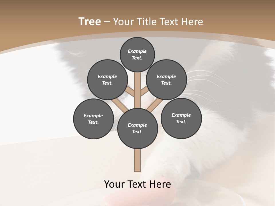 Wool Fur Mammal PowerPoint Template