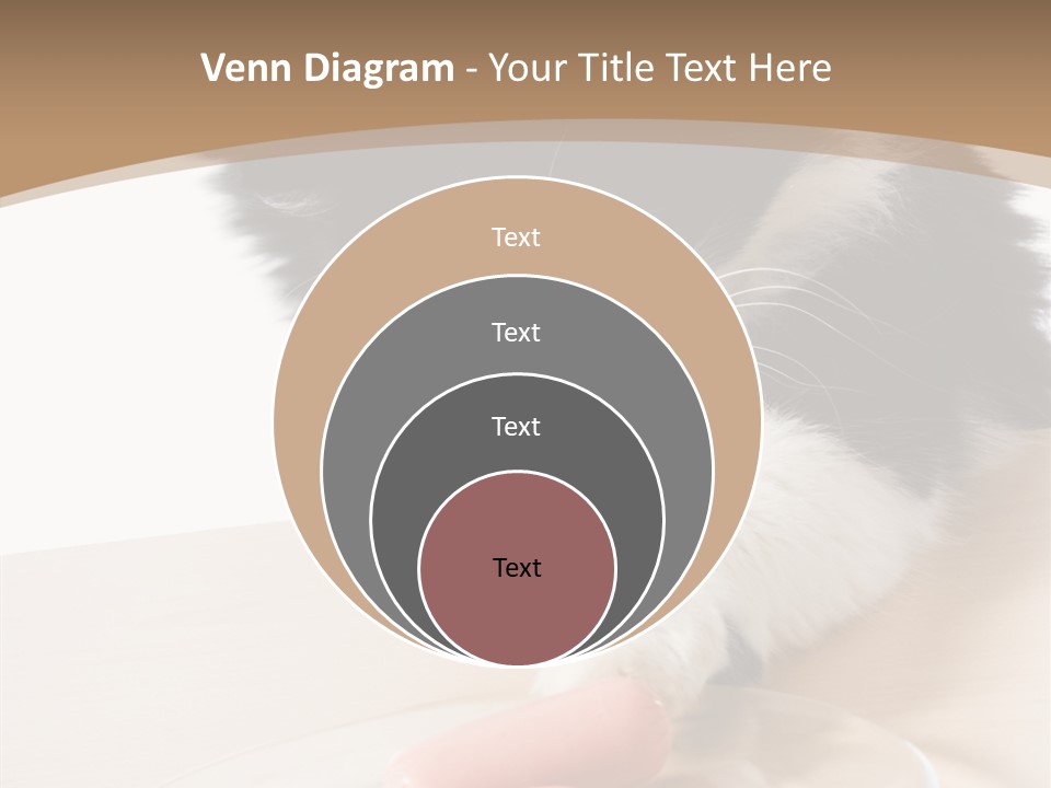 Wool Fur Mammal PowerPoint Template