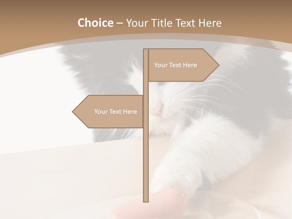 Wool Fur Mammal PowerPoint Template