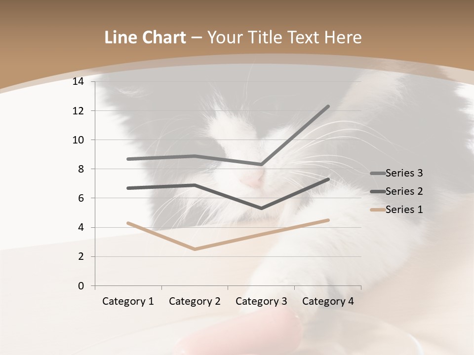 Wool Fur Mammal PowerPoint Template