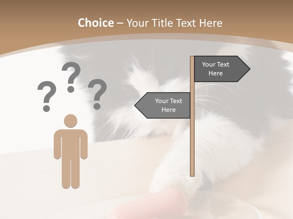 Wool Fur Mammal PowerPoint Template