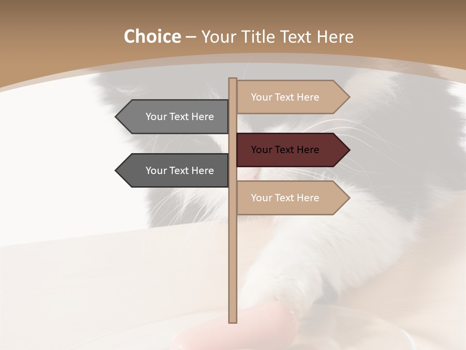 Wool Fur Mammal PowerPoint Template