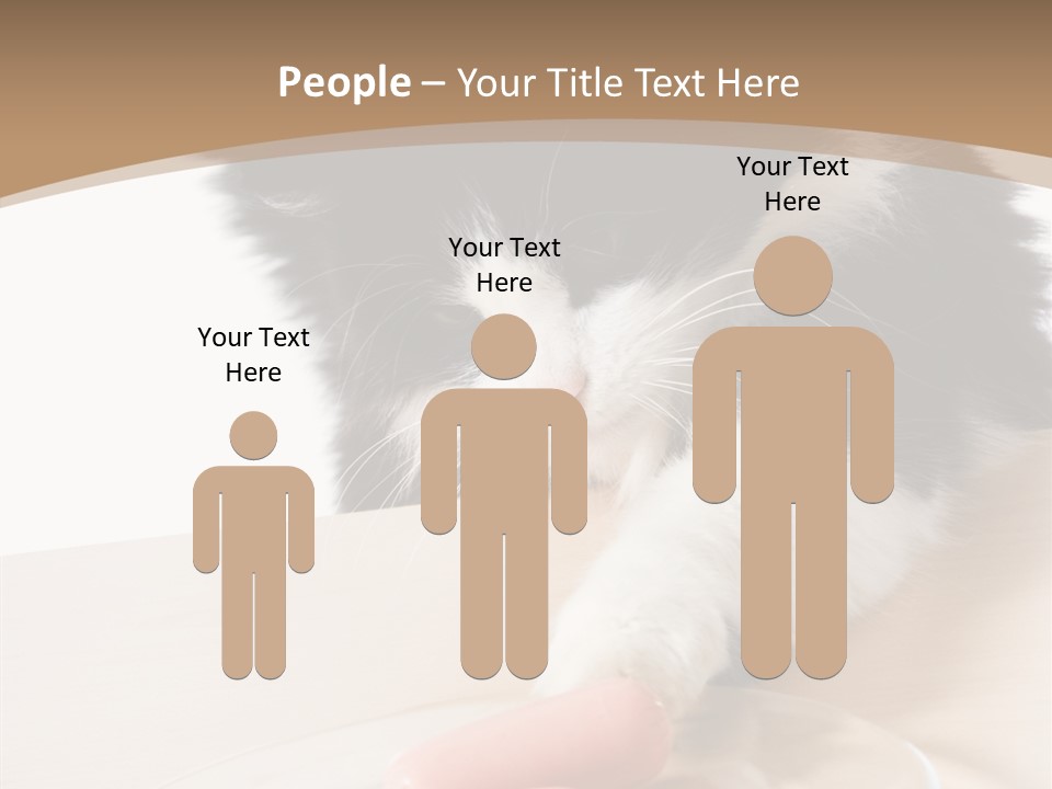 Wool Fur Mammal PowerPoint Template