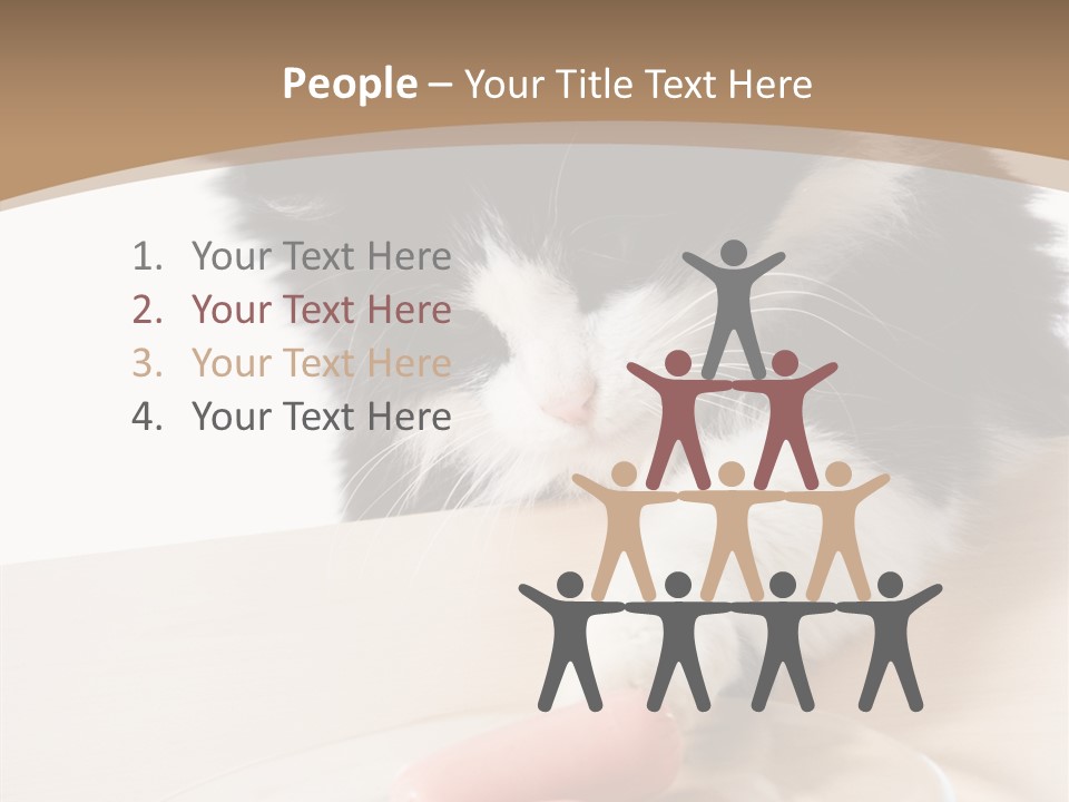 Wool Fur Mammal PowerPoint Template