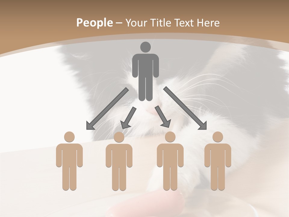 Wool Fur Mammal PowerPoint Template