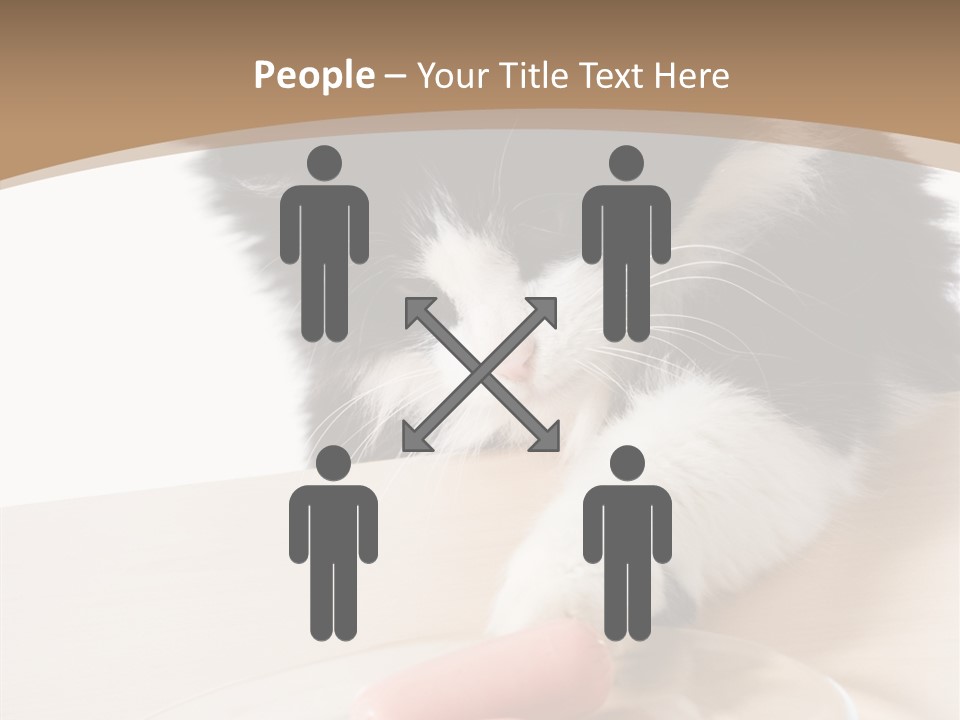 Wool Fur Mammal PowerPoint Template
