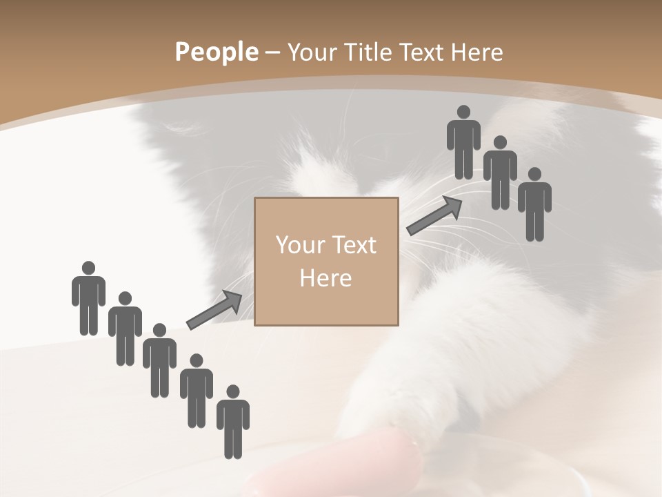 Wool Fur Mammal PowerPoint Template