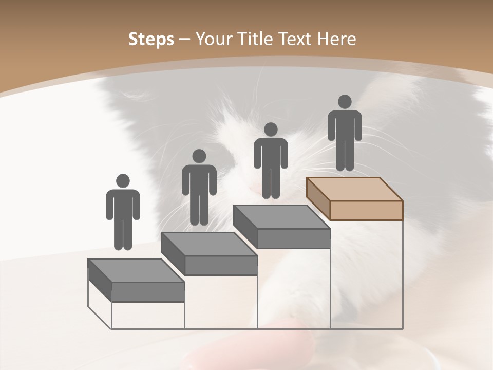 Wool Fur Mammal PowerPoint Template