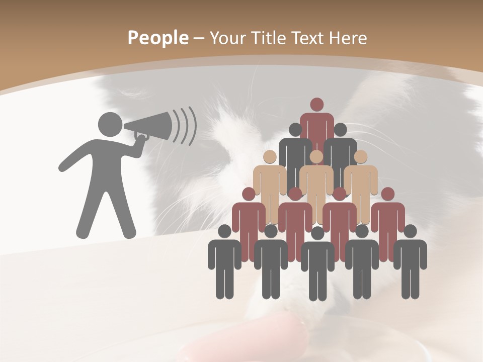 Wool Fur Mammal PowerPoint Template