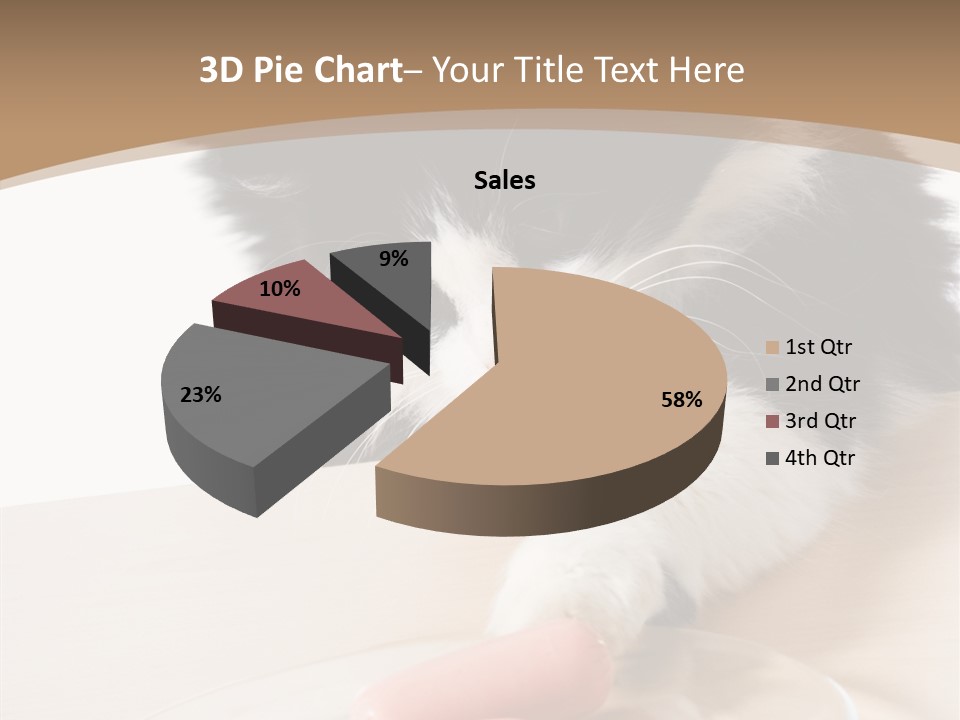 Wool Fur Mammal PowerPoint Template