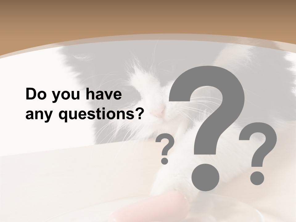 Wool Fur Mammal PowerPoint Template