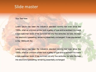 Walnut Culture Stuffed PowerPoint Template