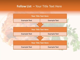 Walnut Culture Stuffed PowerPoint Template