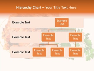 Walnut Culture Stuffed PowerPoint Template