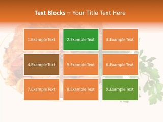 Walnut Culture Stuffed PowerPoint Template