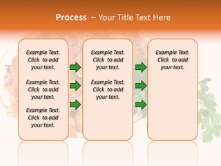 Walnut Culture Stuffed PowerPoint Template