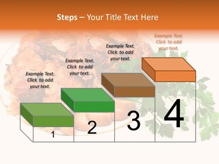 Walnut Culture Stuffed PowerPoint Template