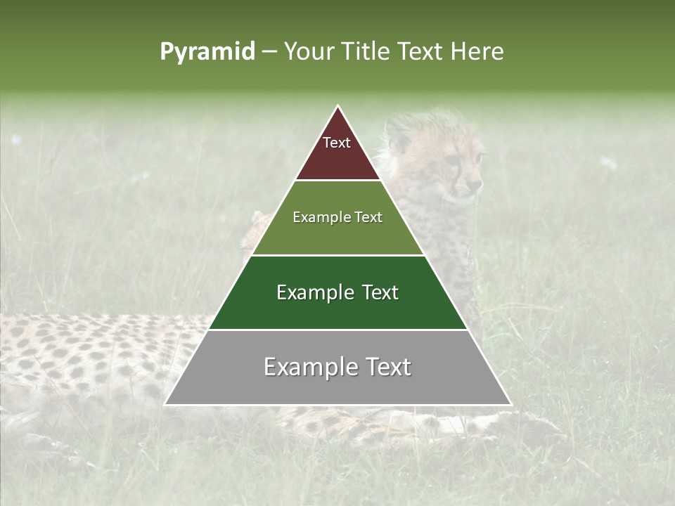 Writing Chair Human PowerPoint Template