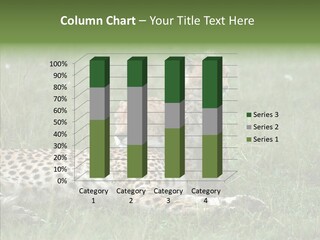 Writing Chair Human PowerPoint Template