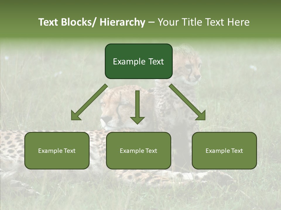 Writing Chair Human PowerPoint Template