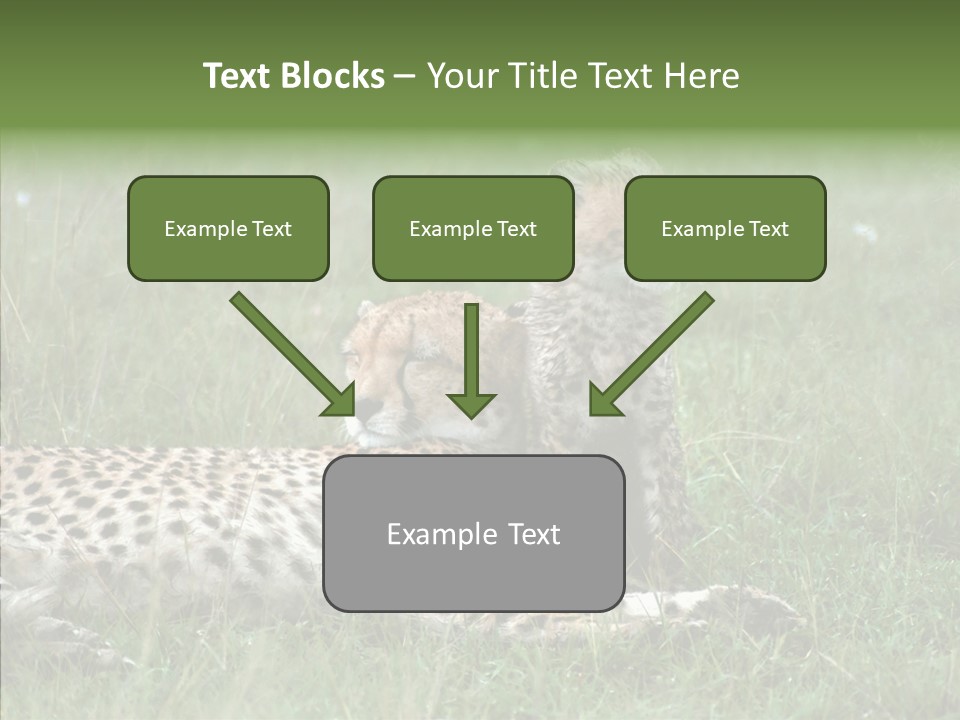 Writing Chair Human PowerPoint Template