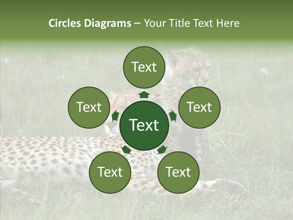 Writing Chair Human PowerPoint Template