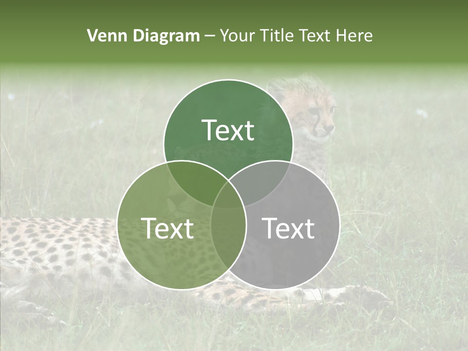 Writing Chair Human PowerPoint Template