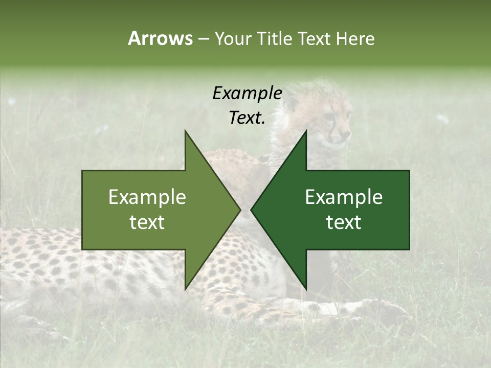 Writing Chair Human PowerPoint Template