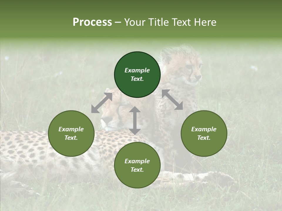Writing Chair Human PowerPoint Template