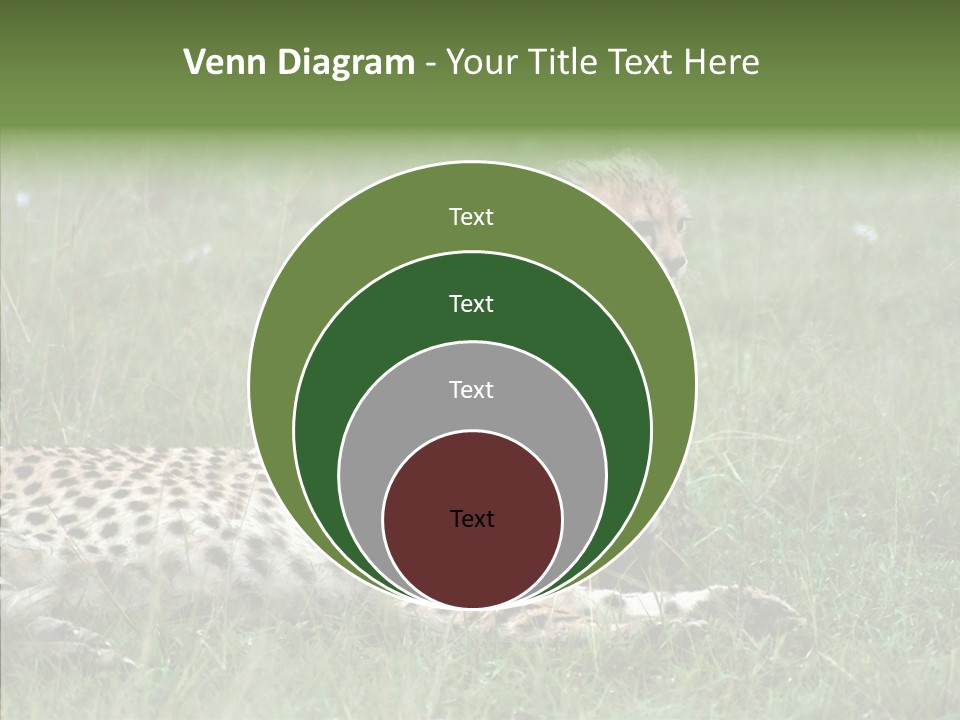 Writing Chair Human PowerPoint Template