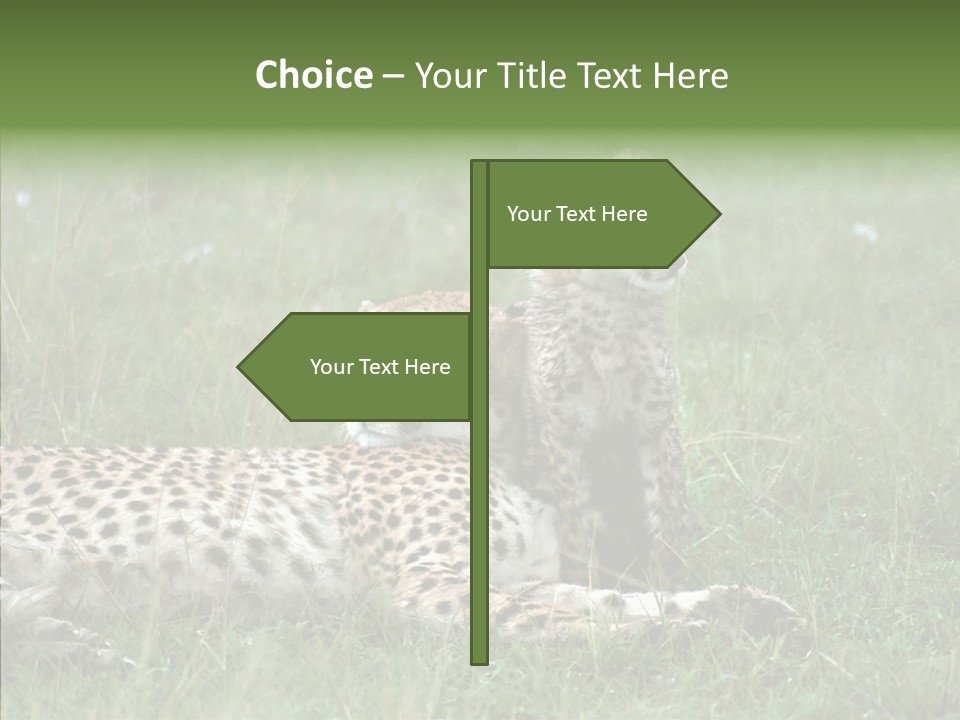 Writing Chair Human PowerPoint Template