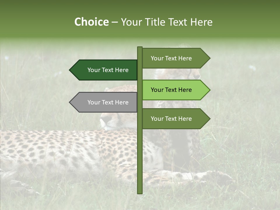 Writing Chair Human PowerPoint Template
