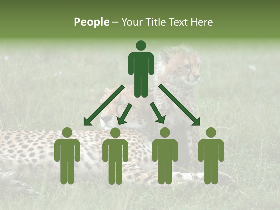 Writing Chair Human PowerPoint Template