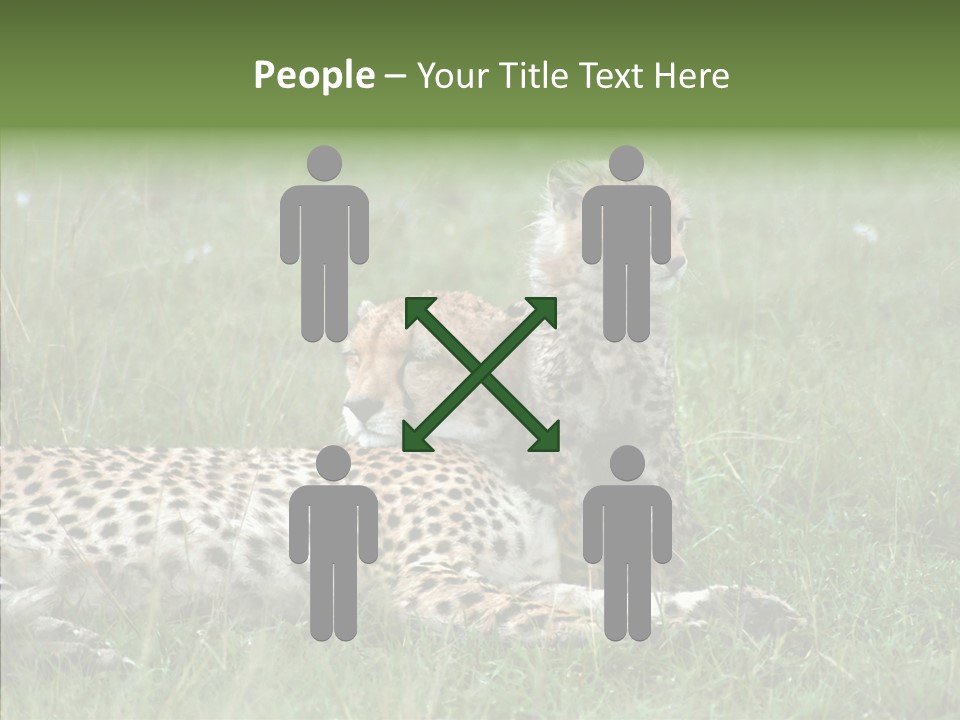 Writing Chair Human PowerPoint Template