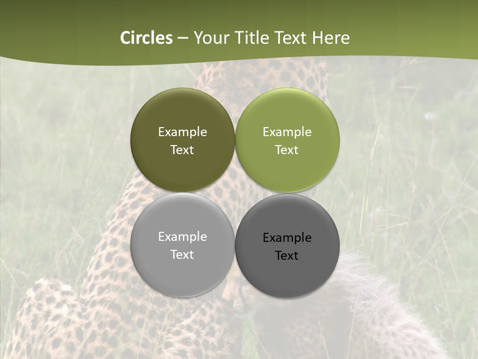 Figure Management Teamwork PowerPoint Template