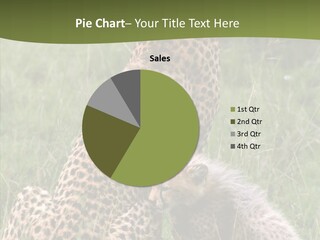 Figure Management Teamwork PowerPoint Template