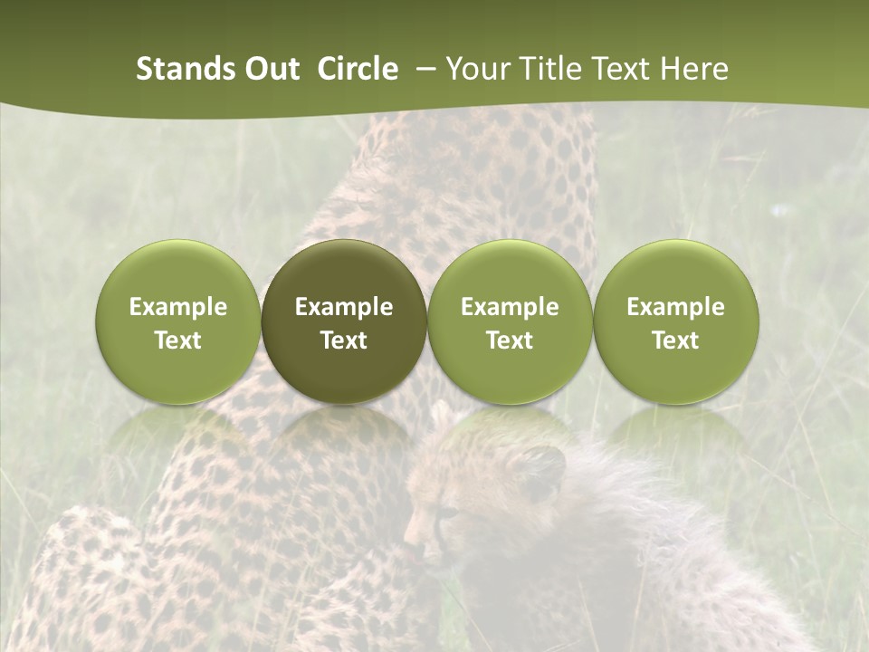 Figure Management Teamwork PowerPoint Template