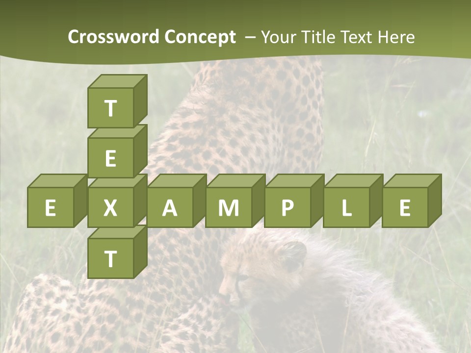Figure Management Teamwork PowerPoint Template