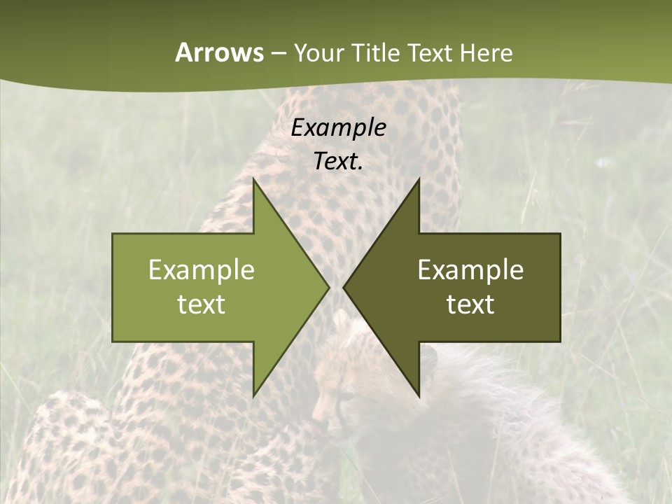 Figure Management Teamwork PowerPoint Template