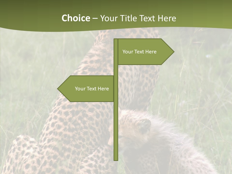 Figure Management Teamwork PowerPoint Template