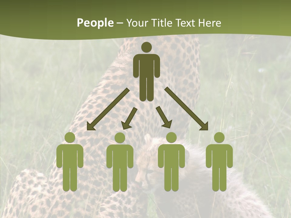 Figure Management Teamwork PowerPoint Template