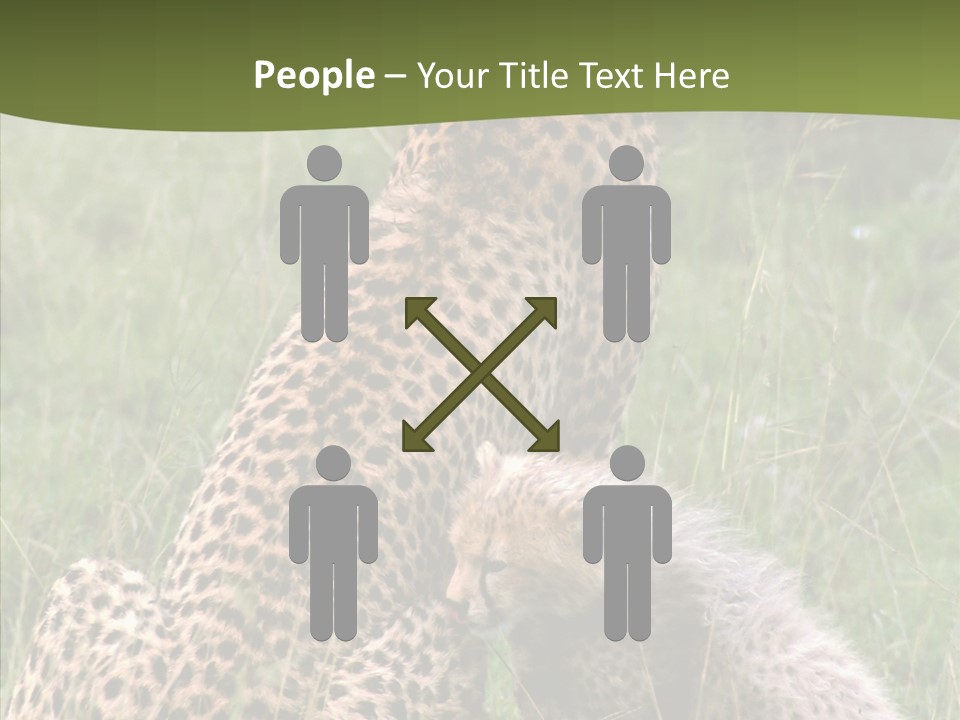 Figure Management Teamwork PowerPoint Template