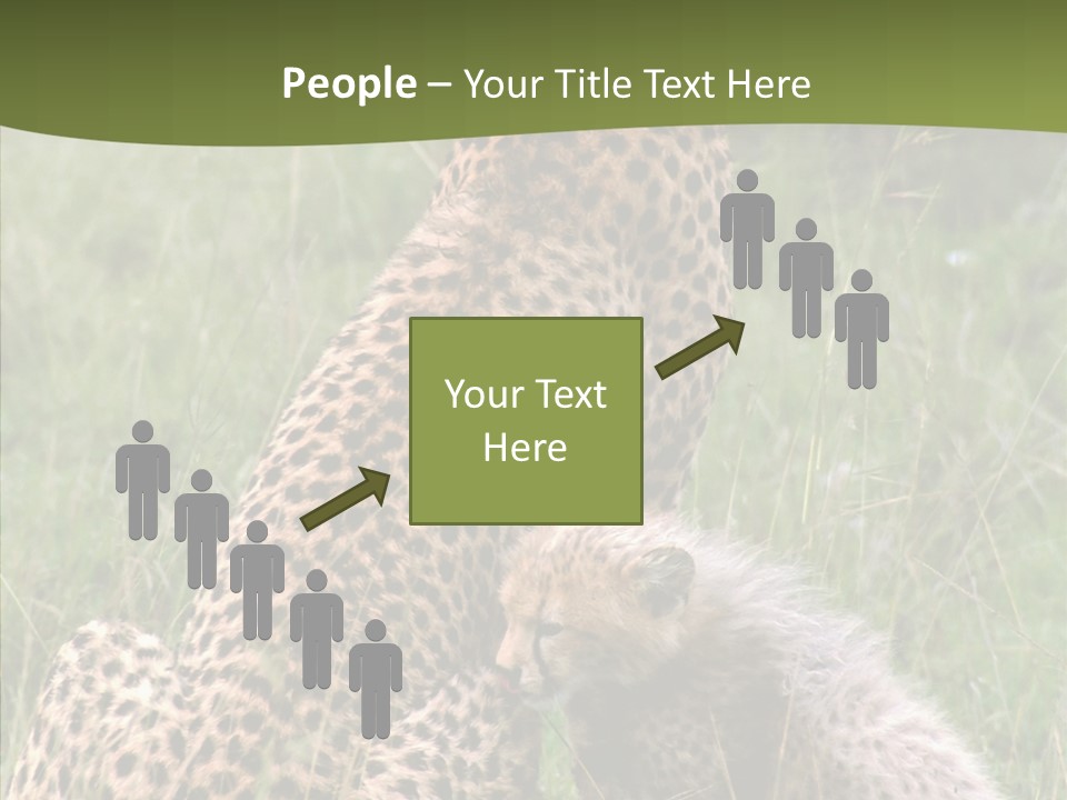 Figure Management Teamwork PowerPoint Template