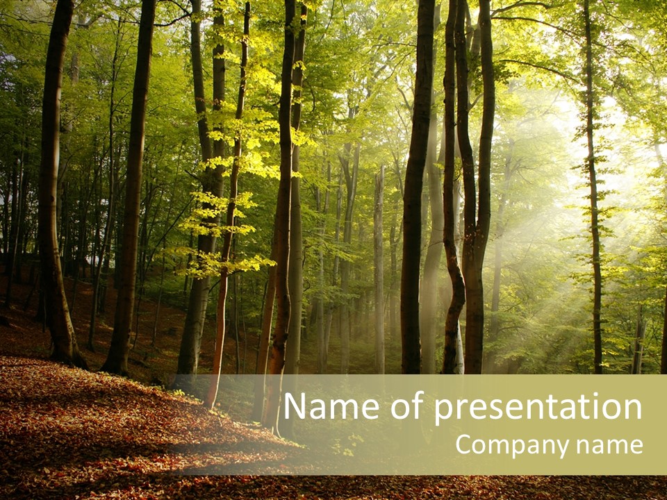 Leaves Environment Foliage PowerPoint Template